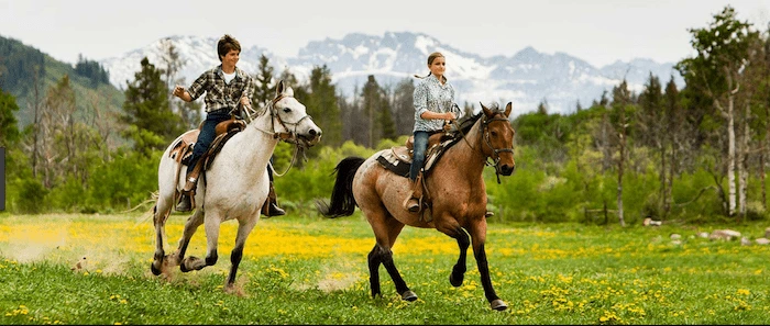 Confident plus-size woman riding Selly Oak a horse through a field with a smile on her face.